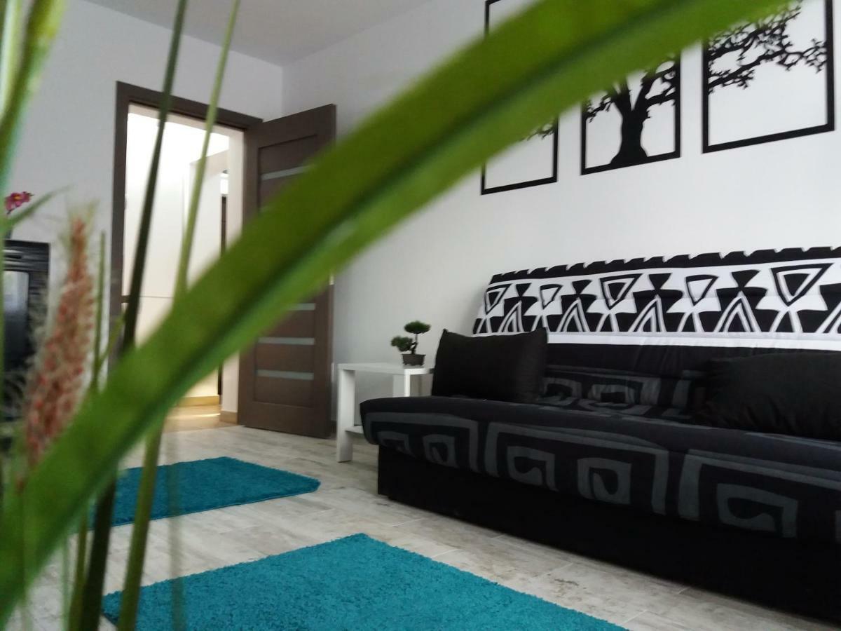 Apartament Elefant Tg. Ocna Lägenhet Tîrgu Ocna Exteriör bild