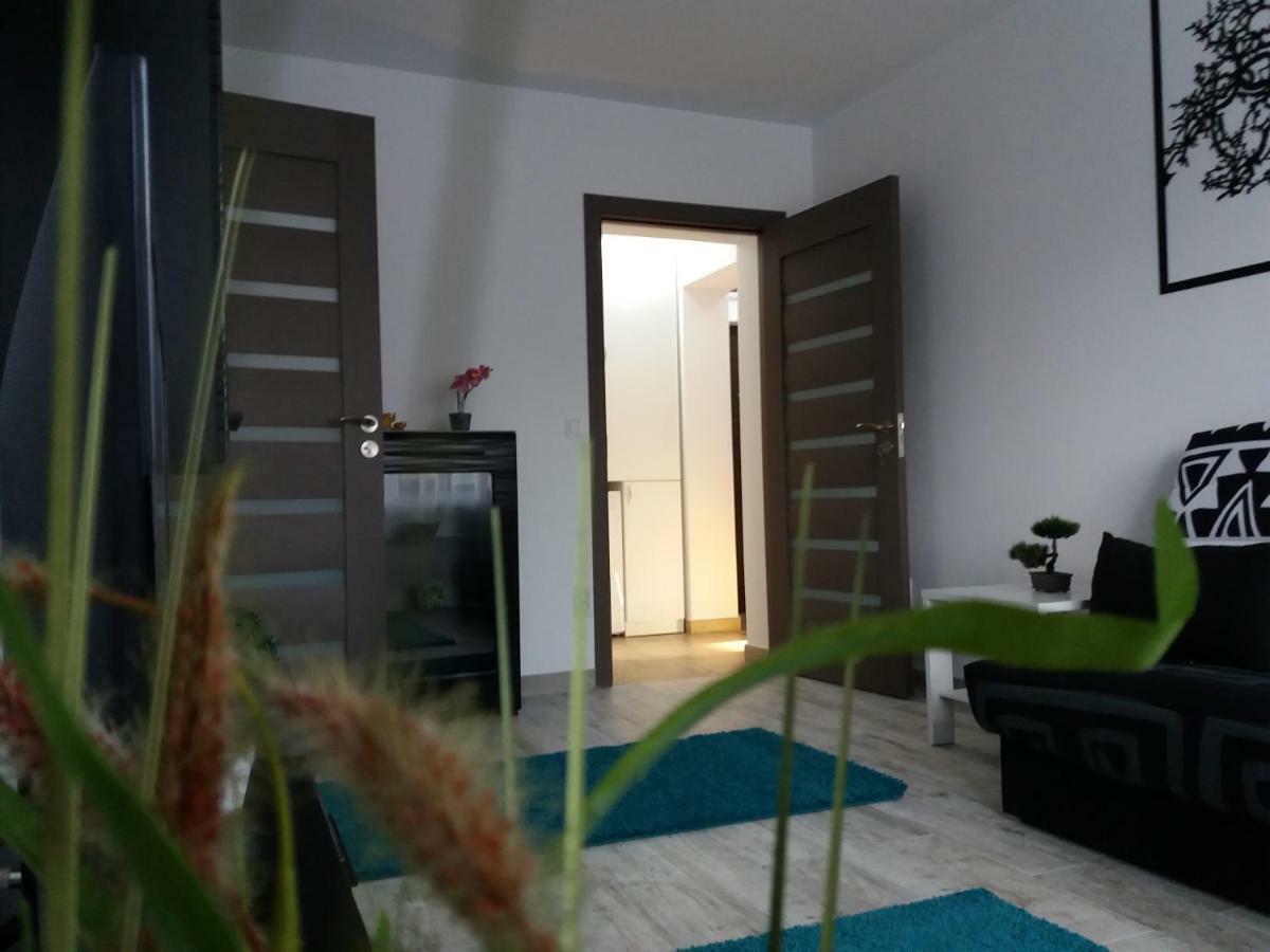Apartament Elefant Tg. Ocna Lägenhet Tîrgu Ocna Exteriör bild