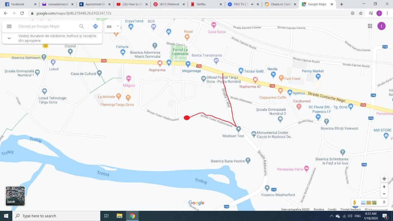 Apartament Elefant Tg. Ocna Lägenhet Tîrgu Ocna Exteriör bild